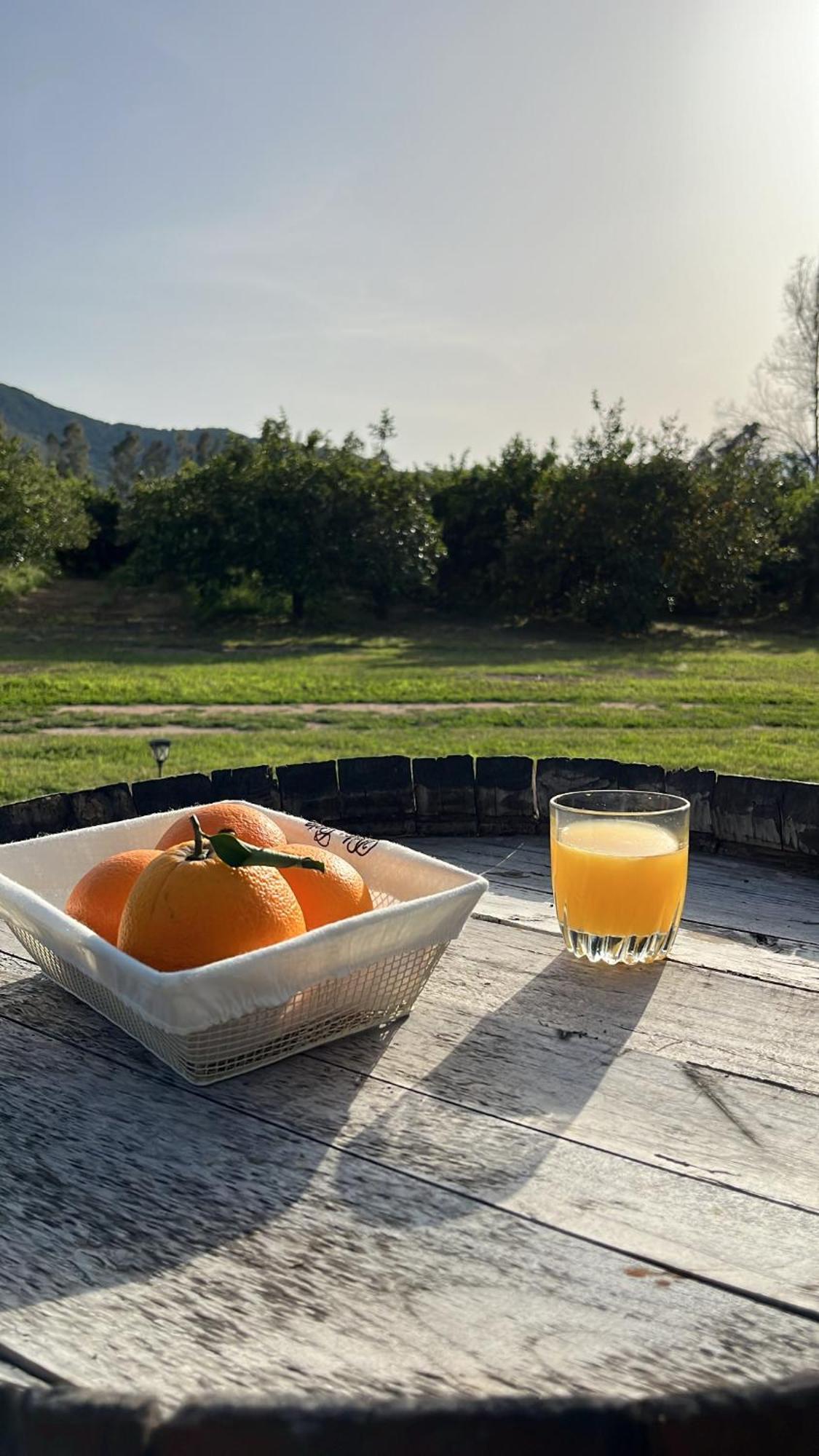 Bidd'E Majori Bed & Breakfast San Priamo Exterior photo