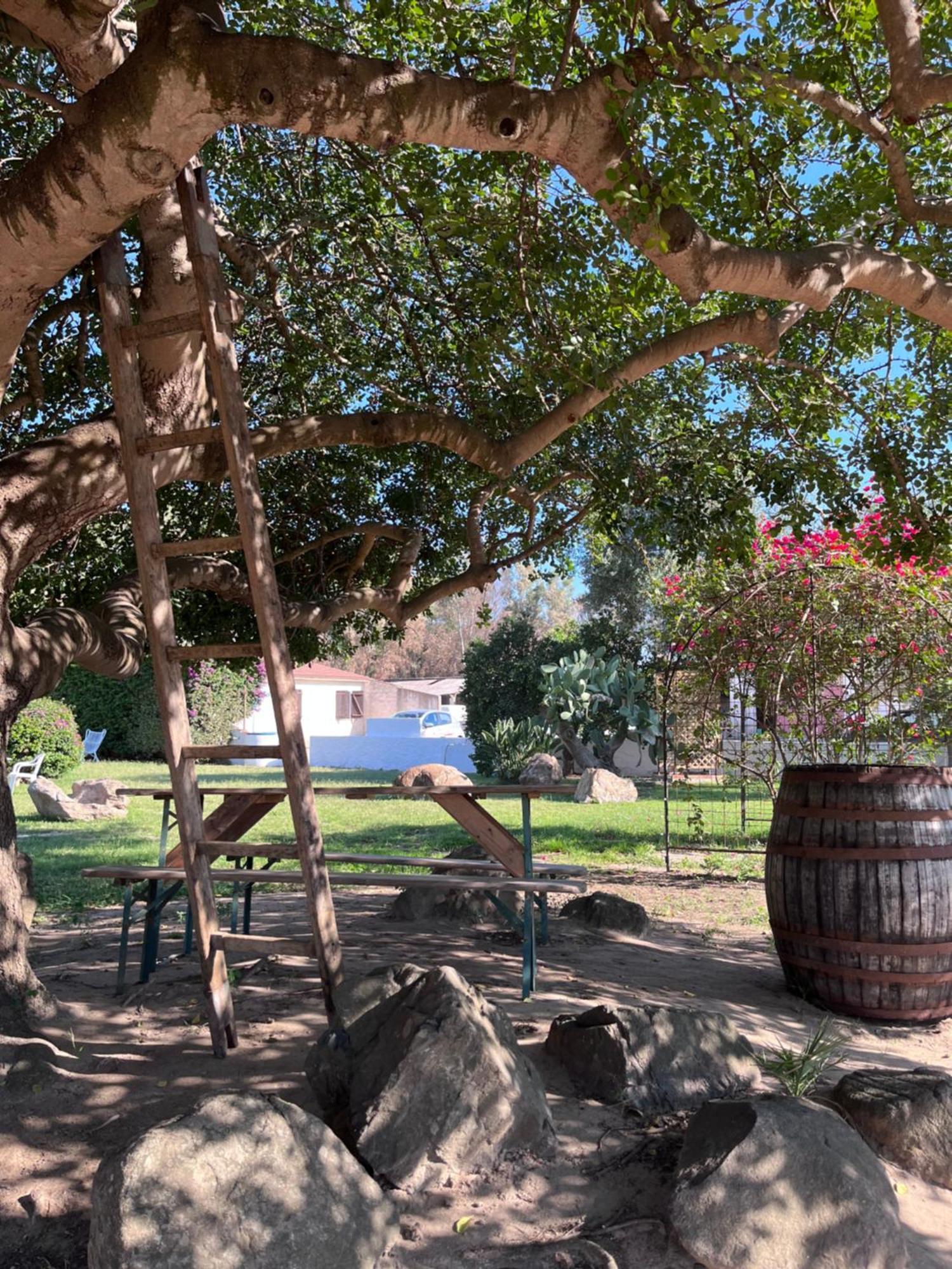 Bidd'E Majori Bed & Breakfast San Priamo Exterior photo